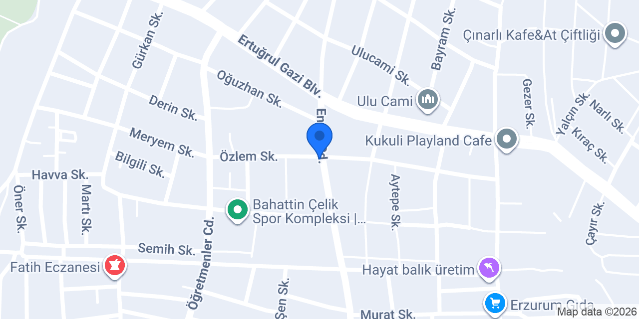DERİNCE FATİH PARK TAKSİ konumu