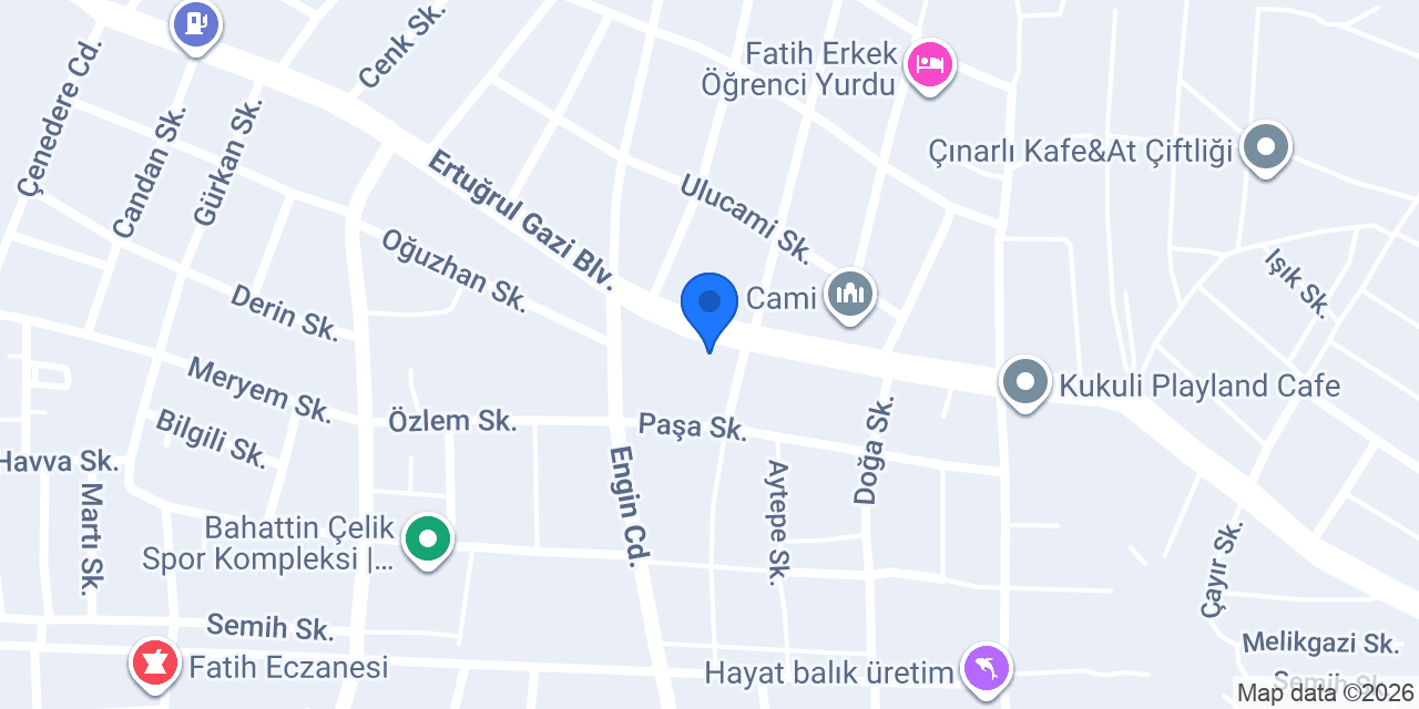 DERİNCE BULVAR HALI YIKAMA konumu
