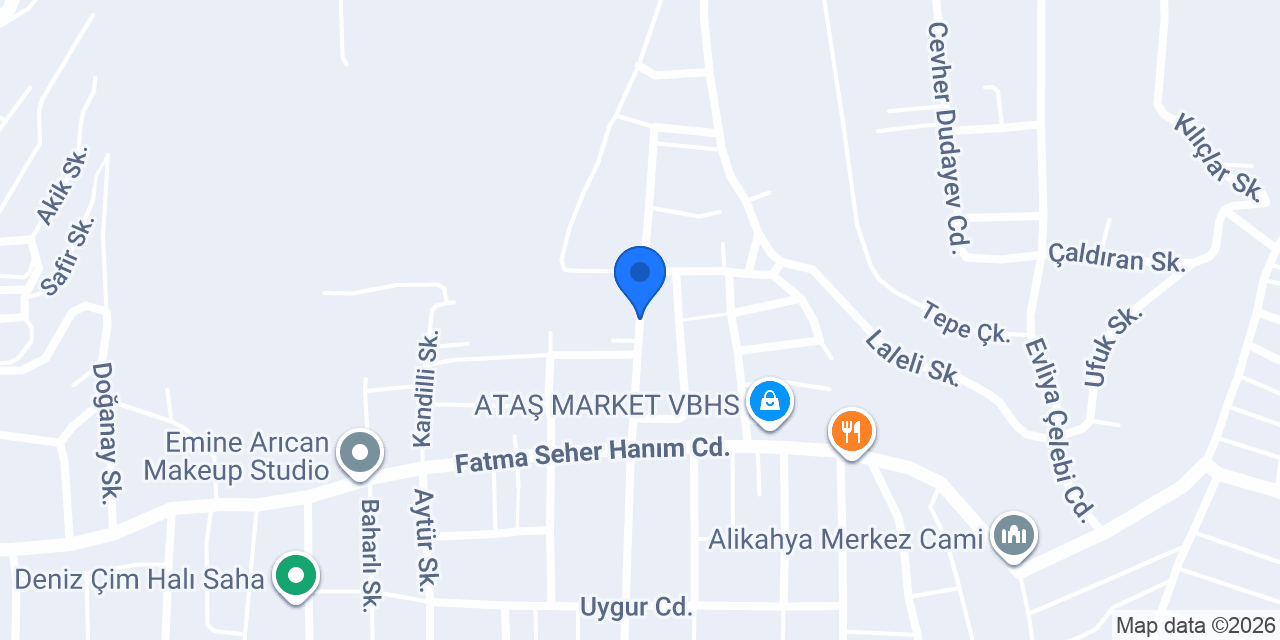 Avukat Hafize Ongun konumu