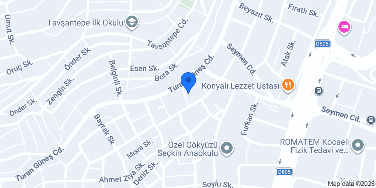 İzmit Okyanus Halı Yıkama konumu