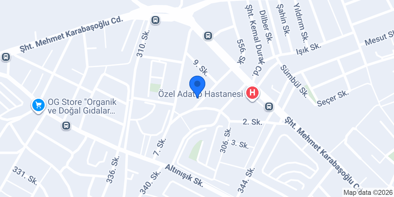 ŞEHİT FETHİ SEKİN İLKOKULU konumu