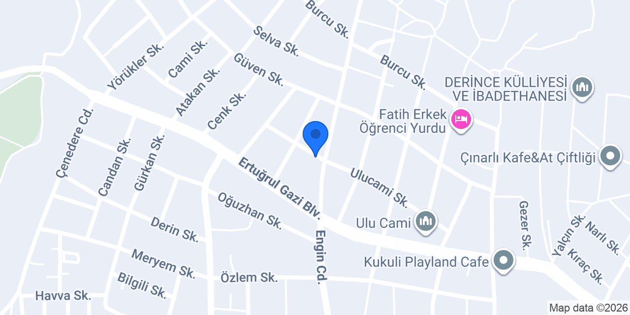 Hamidi teknik konumu