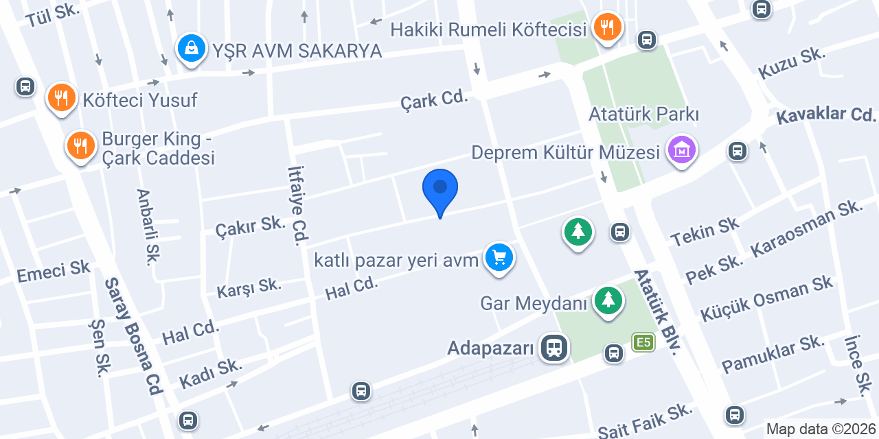 hayalsüsflower sakarya konumu