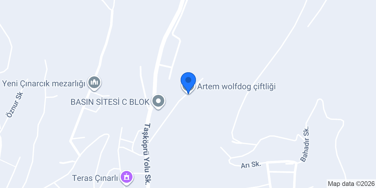 Artem wolfdog çiftliği konumu