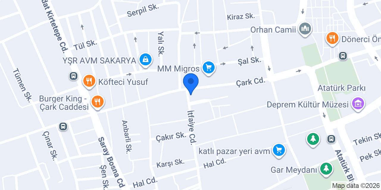 Wellness Clinic Sakarya konumu