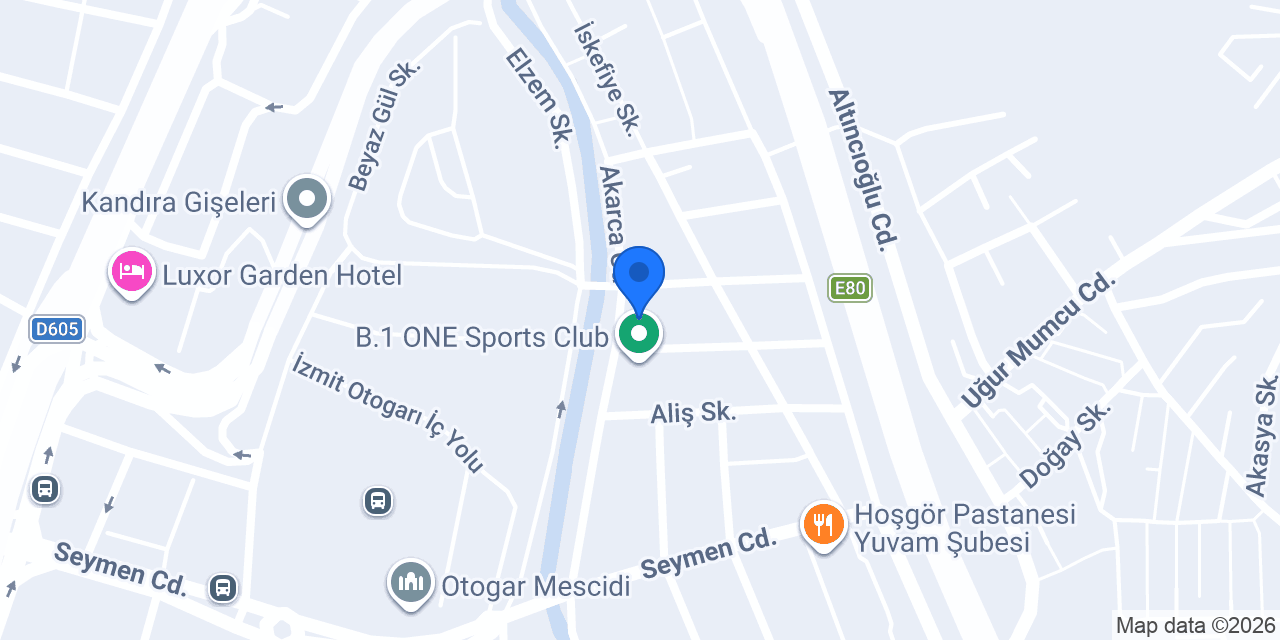 Fauna Veteriner Kliniği Kocaeli konumu