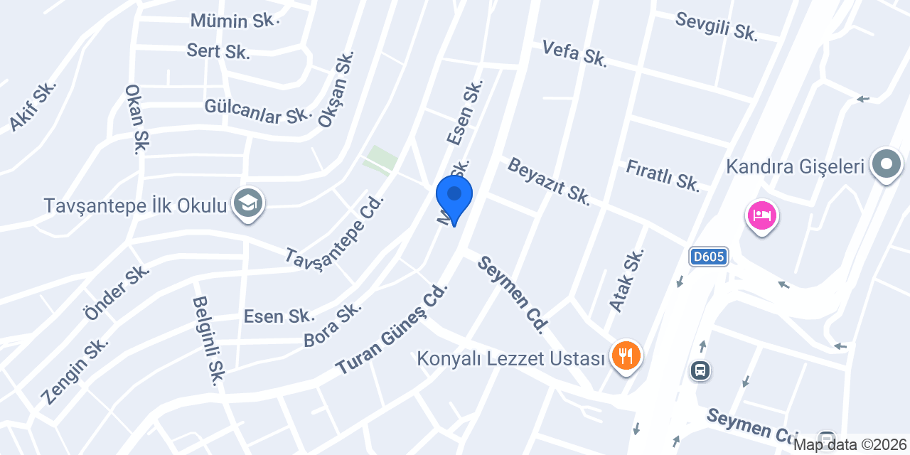 Dent İz Ağız ve Diş Sağlığı konumu