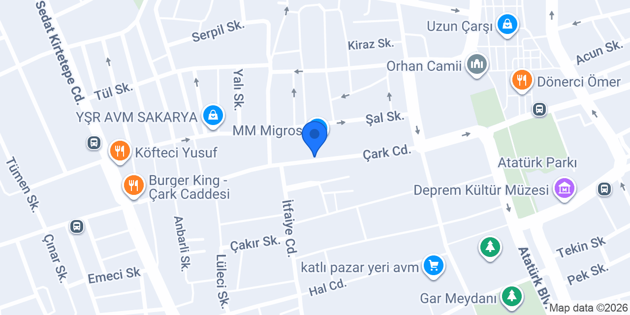 Sakarya Titiz Temizlik konumu