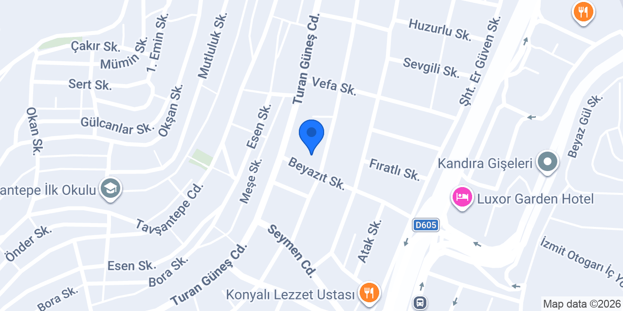 DENİZ GIDA ÜRETİM VE TİCARET konumu