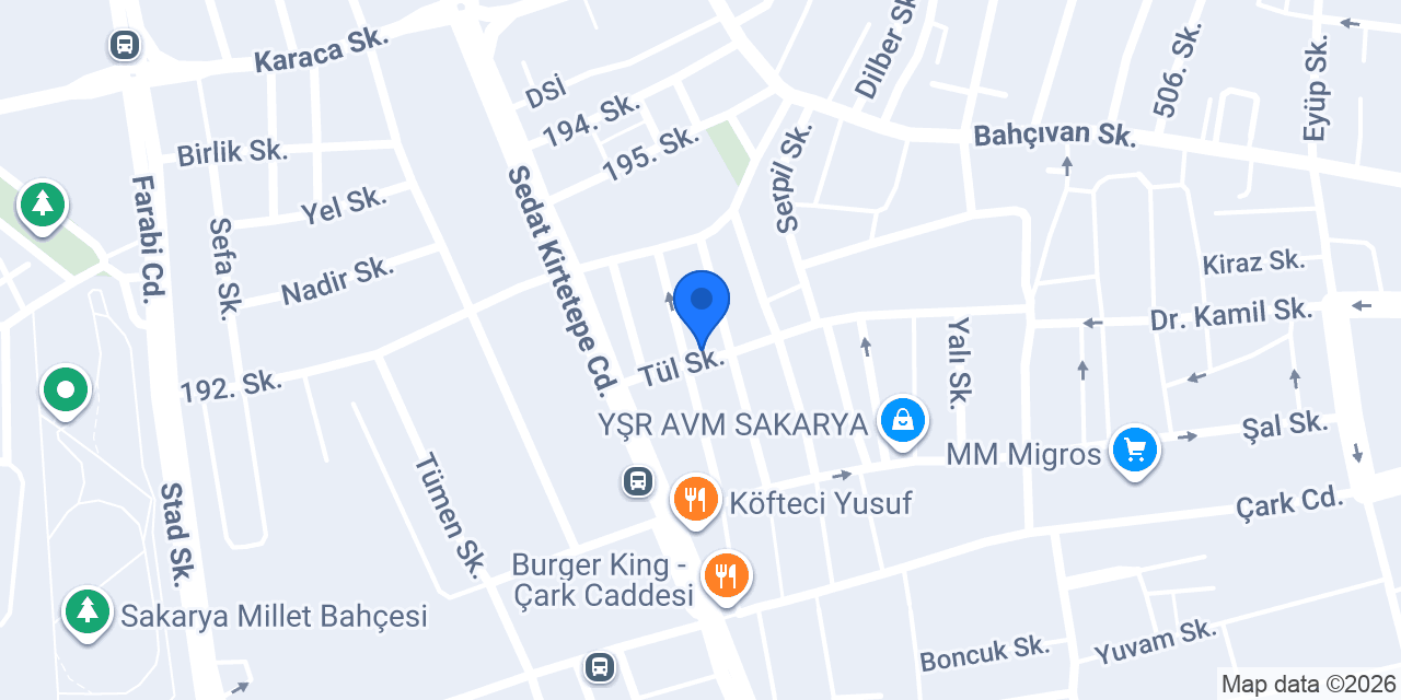 Hayal Plus Organizasyon konumu