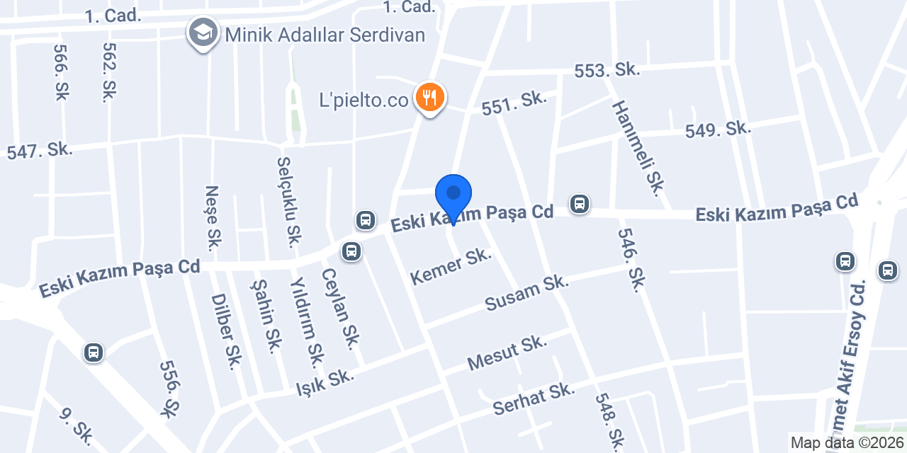 aslan optik konumu