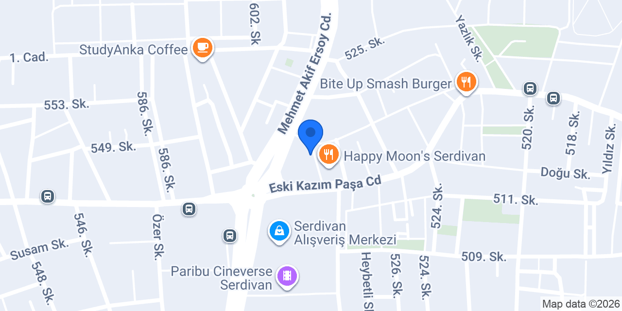 SEN Kültür Sanat konumu