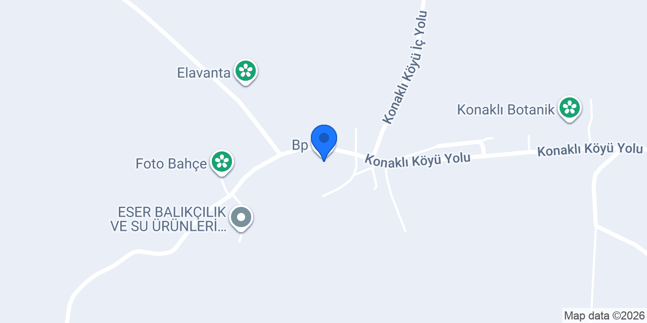 Bp konumu