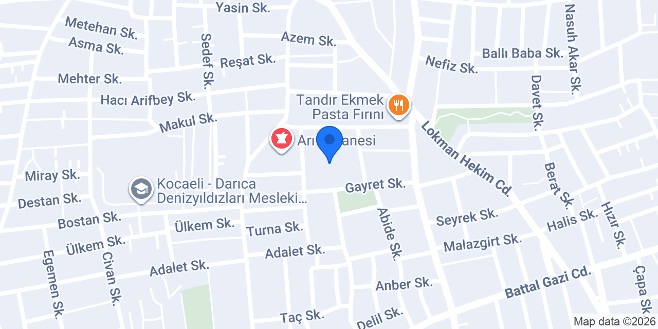 Darıca Nenehatun İlkokulu konumu