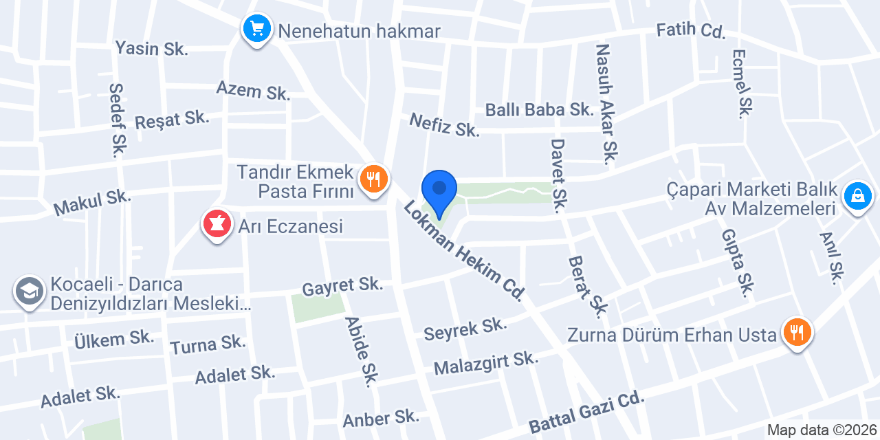 Nenehatun Darıca Taksi konumu