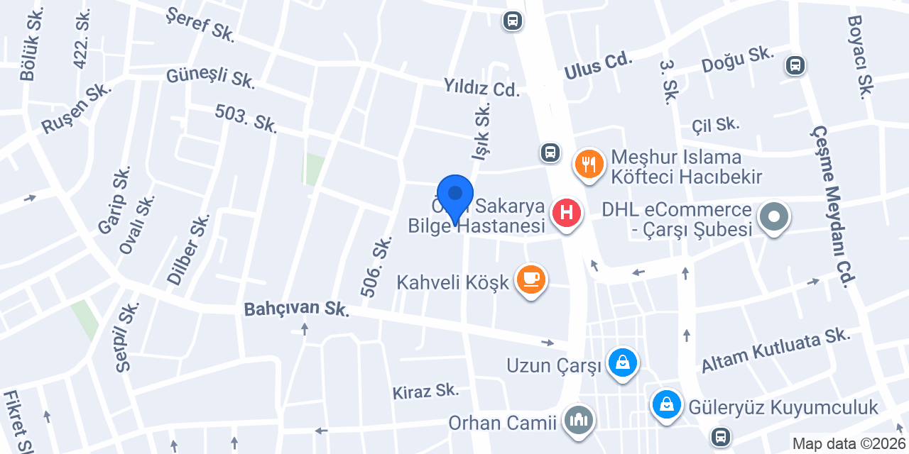 GÜLSÜM GÜNERİ, SMMM konumu