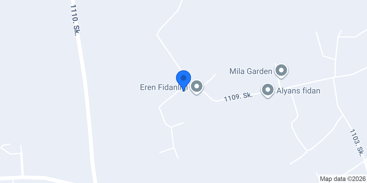 Eren Kaktüs ve Sukulent konumu