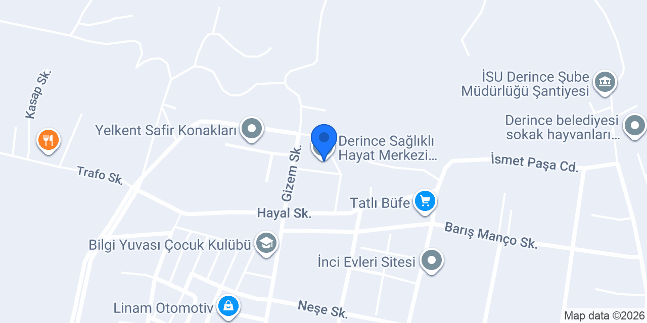 Şehit Emre Kaan Arlı ASM konumu