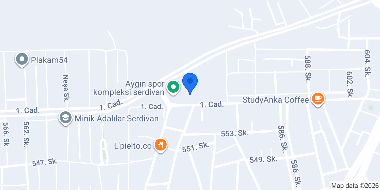 Cediosman Academy Sakarya konumu