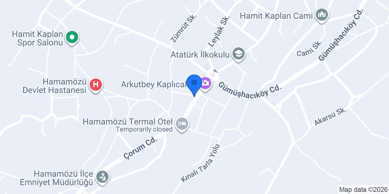 Vizyon emlak konumu