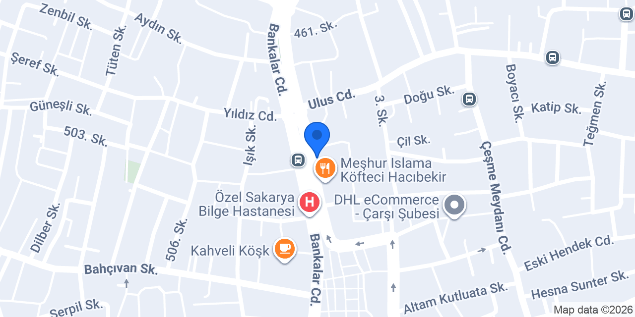 Dr. Öğr. Üyesi Bengü Sare Kılıç Özer konumu