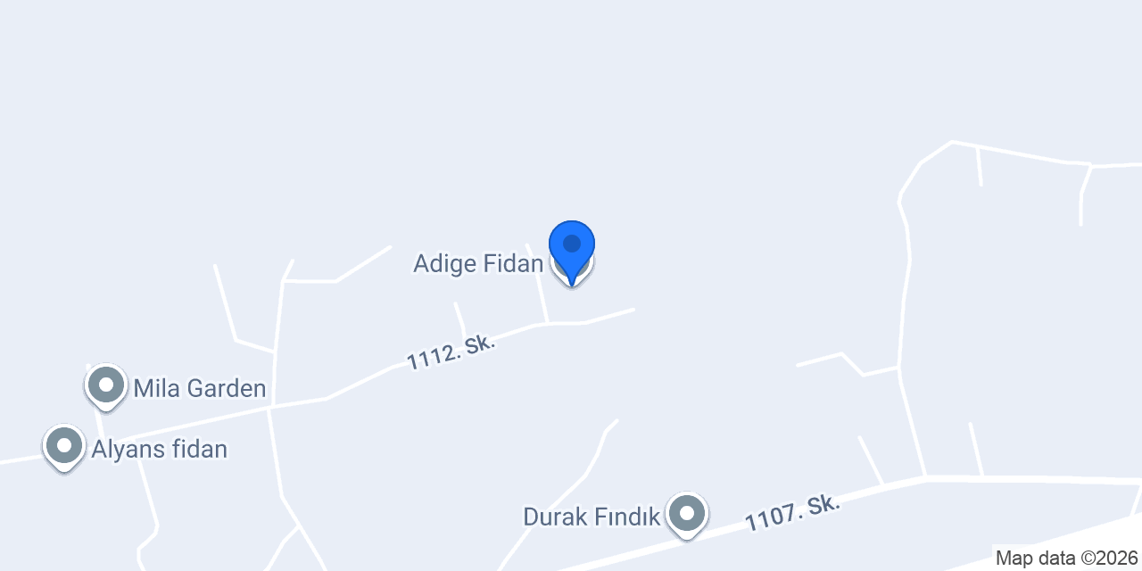 Adige Fidan konumu