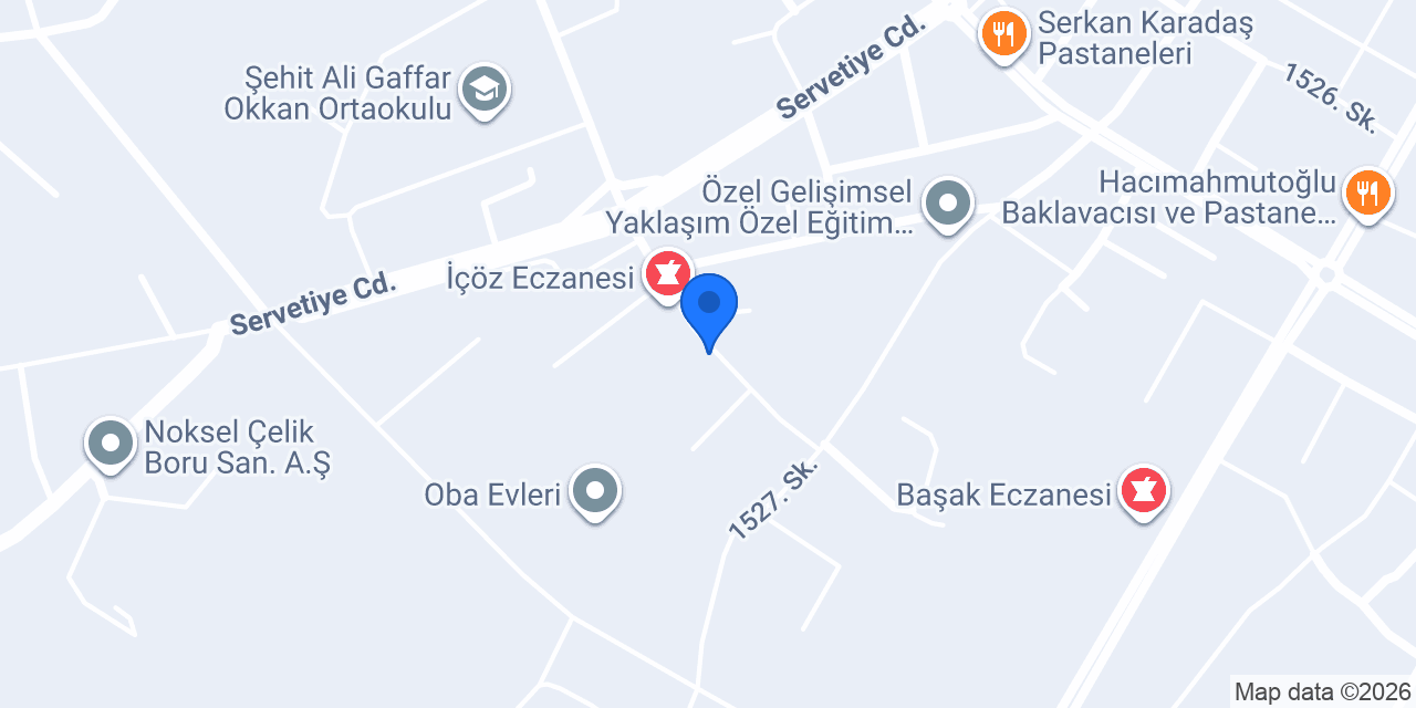 ŞEŞEN GRUP OTOMOTİV konumu