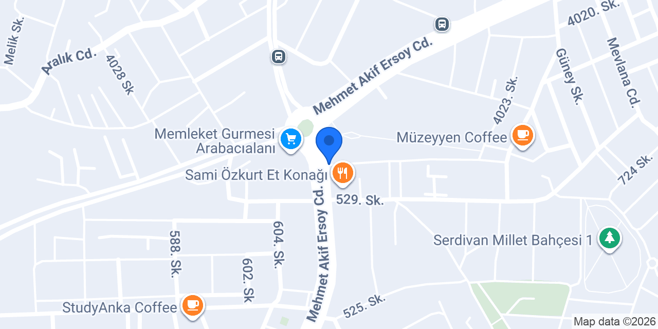 Psk. Hanife Berra Hacim , Psikoloji konumu