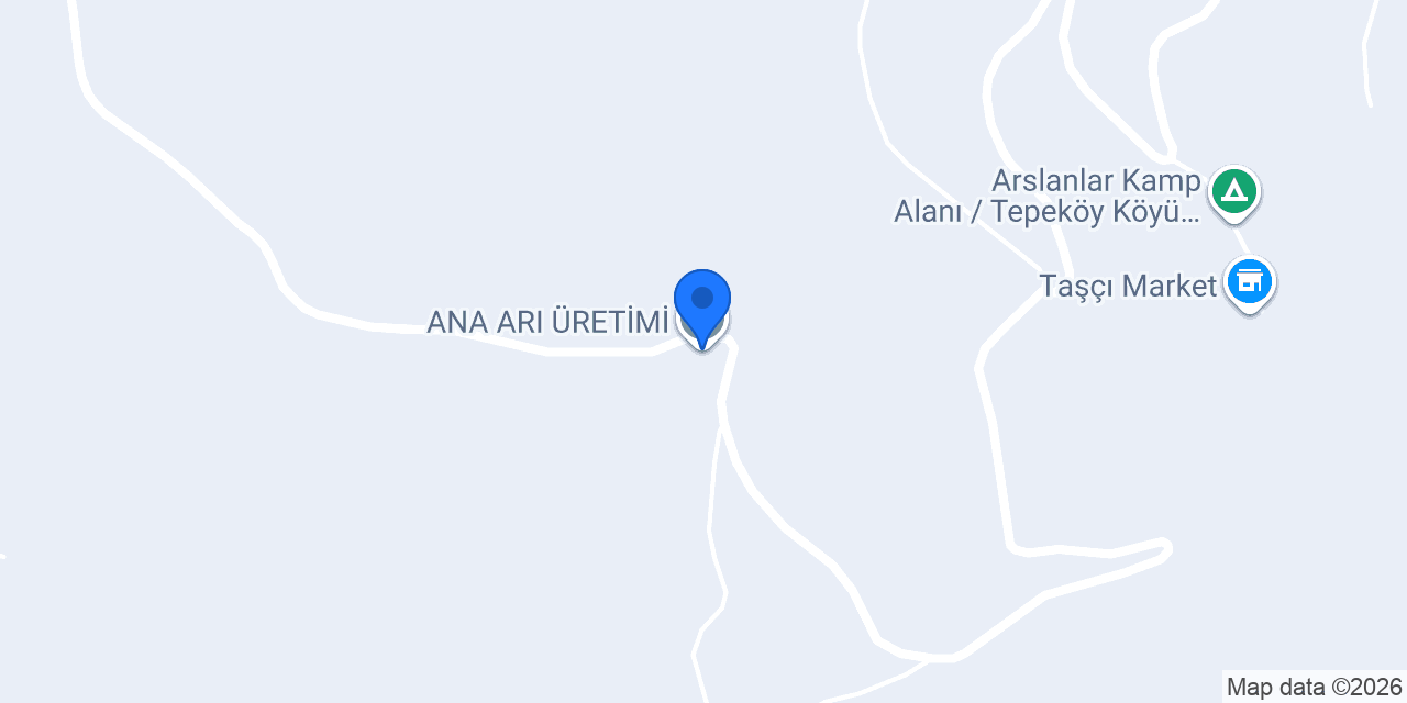 ANA ARI ÜRETİMİ konumu