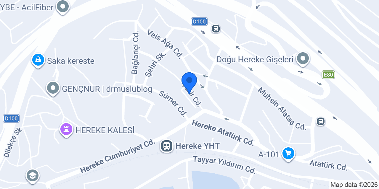 Aras Rent A Car konumu