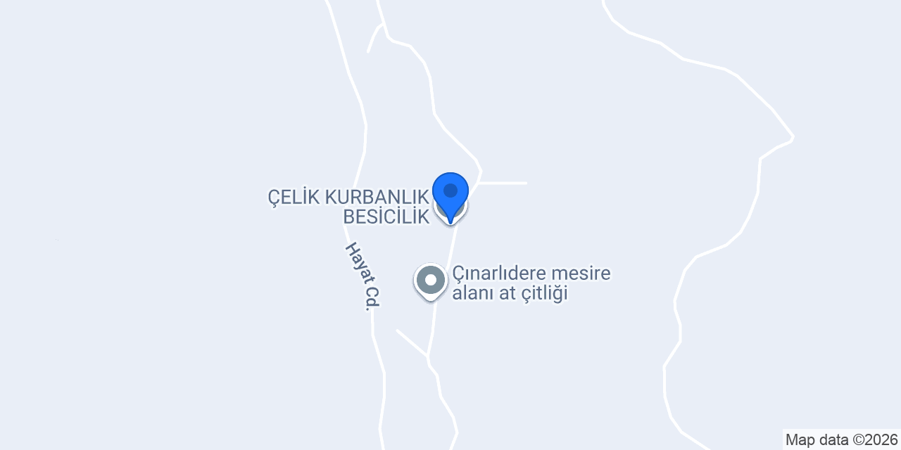 ÇELİK KURBANLIK BESİCİLİK konumu