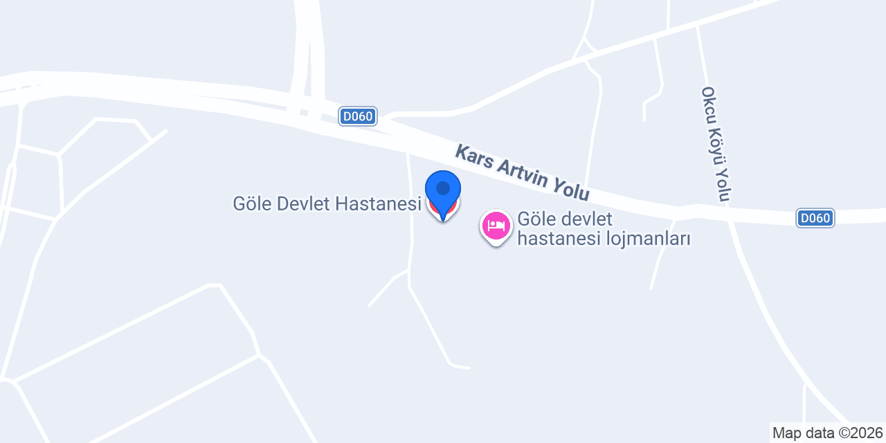 Göle Devlet Hastanesi konumu