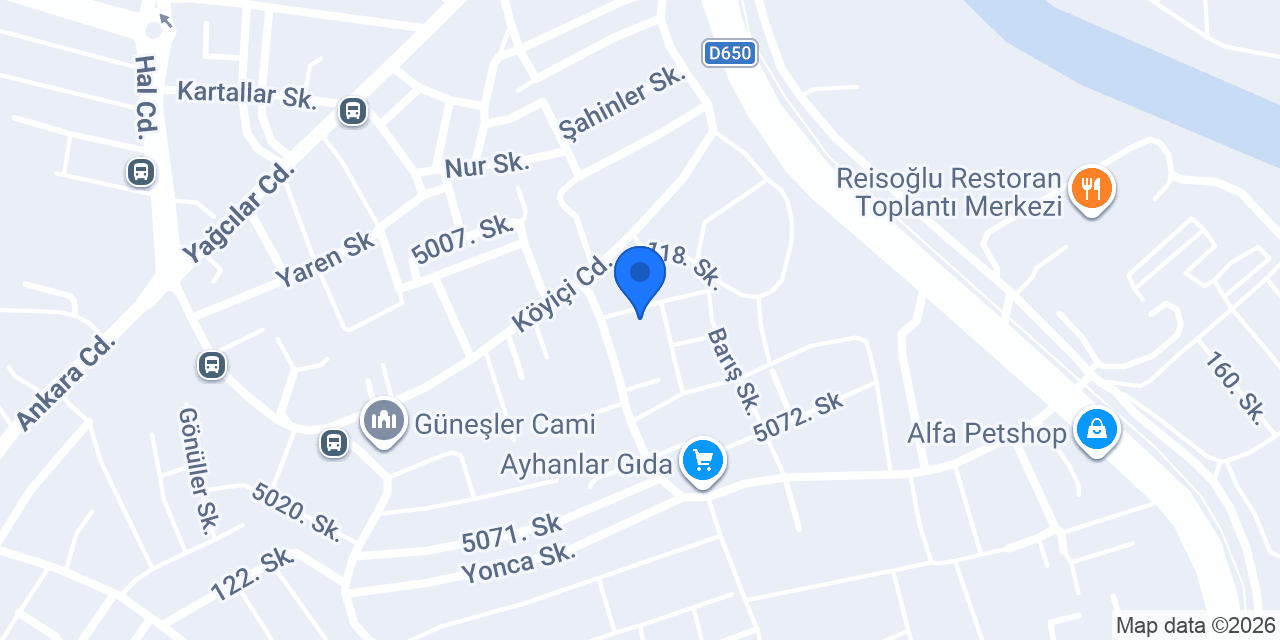 Ergin Consultancy konumu