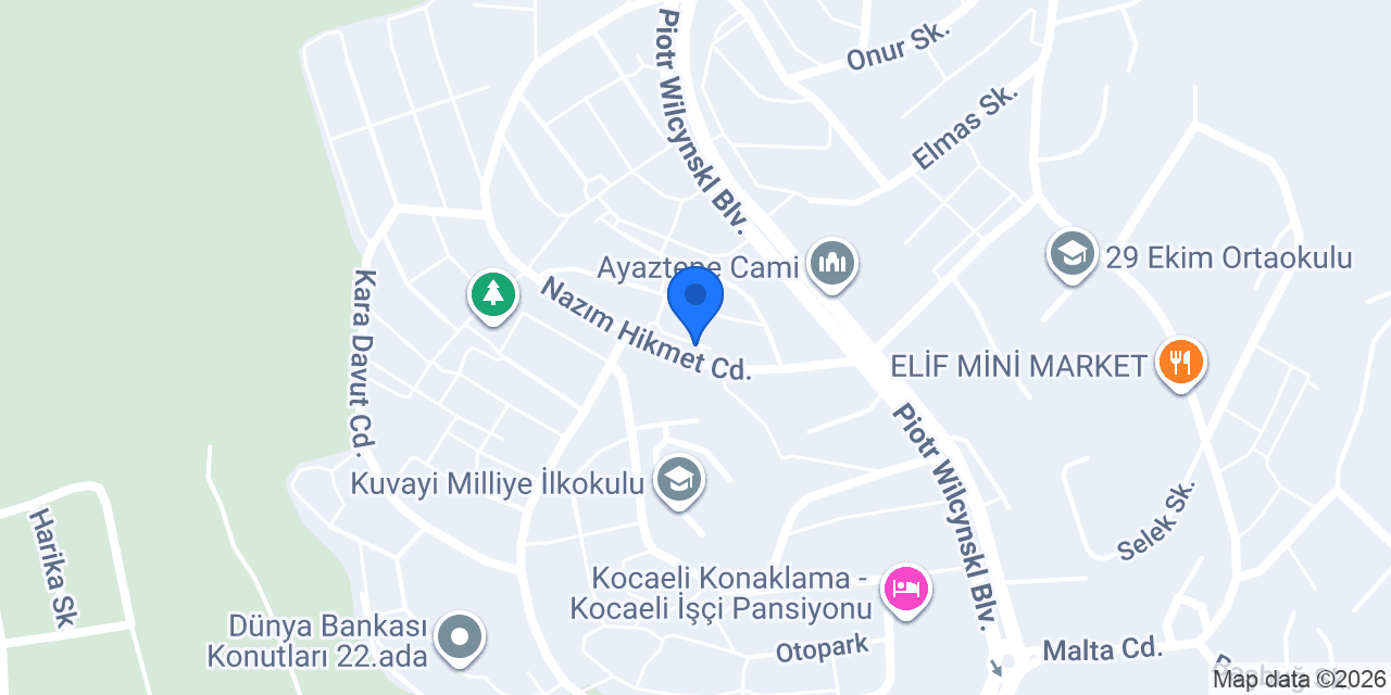 efeteknikizmit konumu