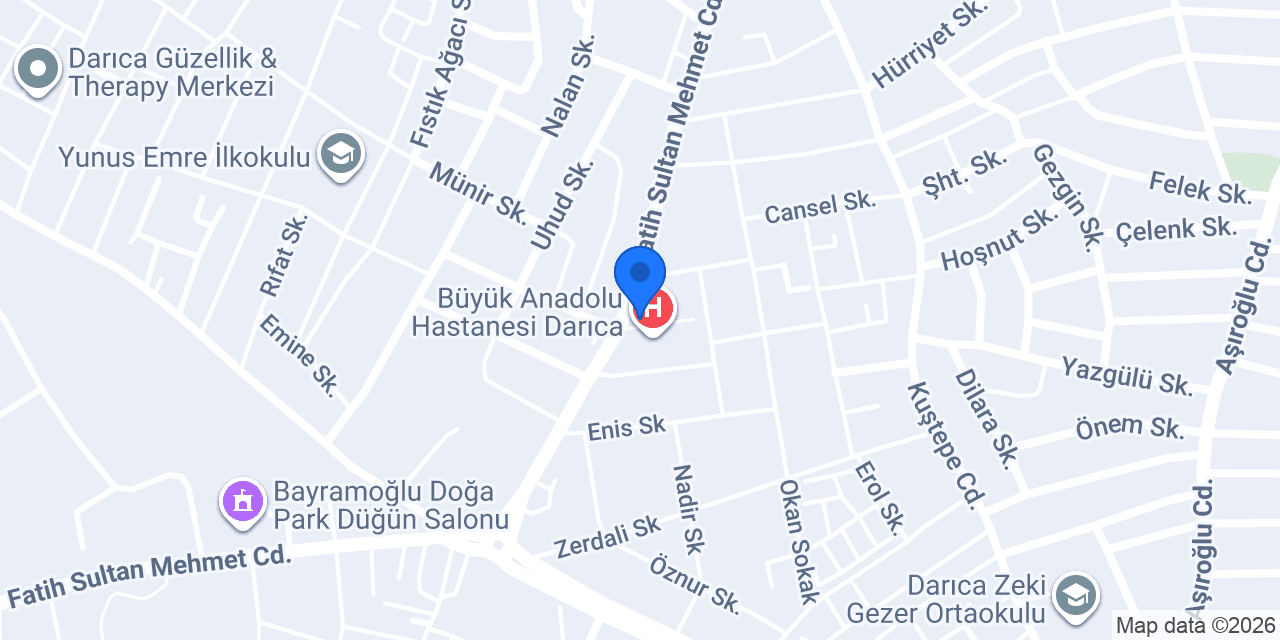Palmiye Eczanesi/ Darica konumu