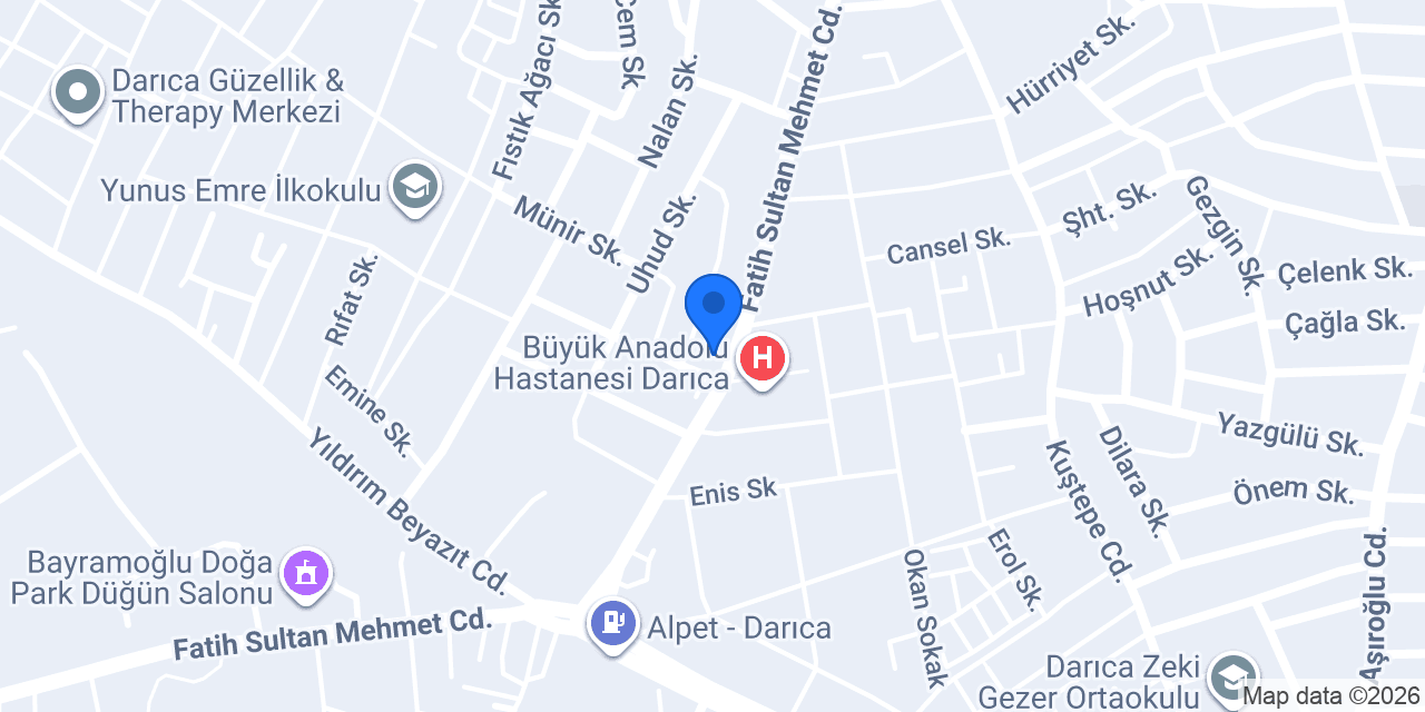 Domino's Pizza Bayramoğlu konumu