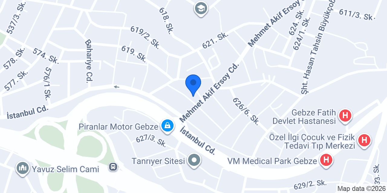 Tm grup otomotiv konumu