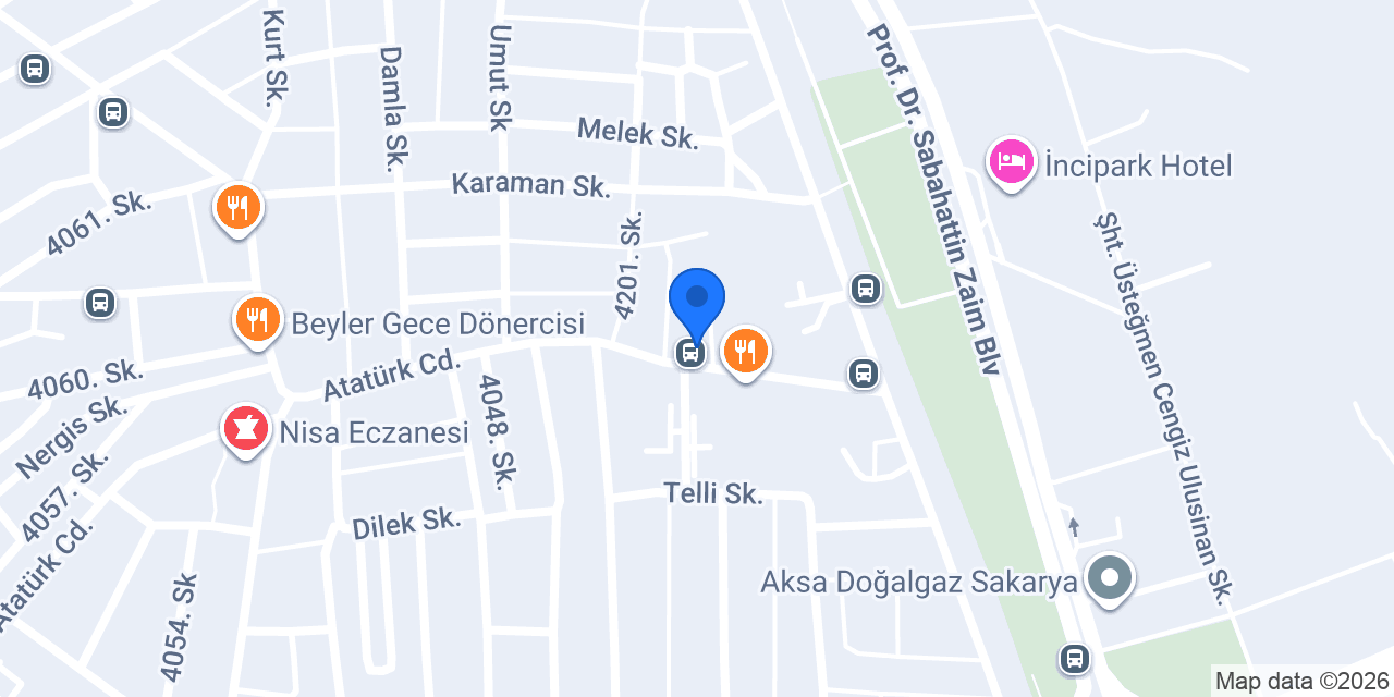 Cesur Auto konumu