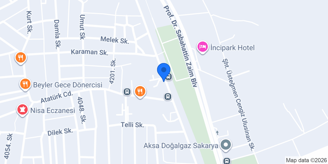 Sakarya Halı Yıkama konumu