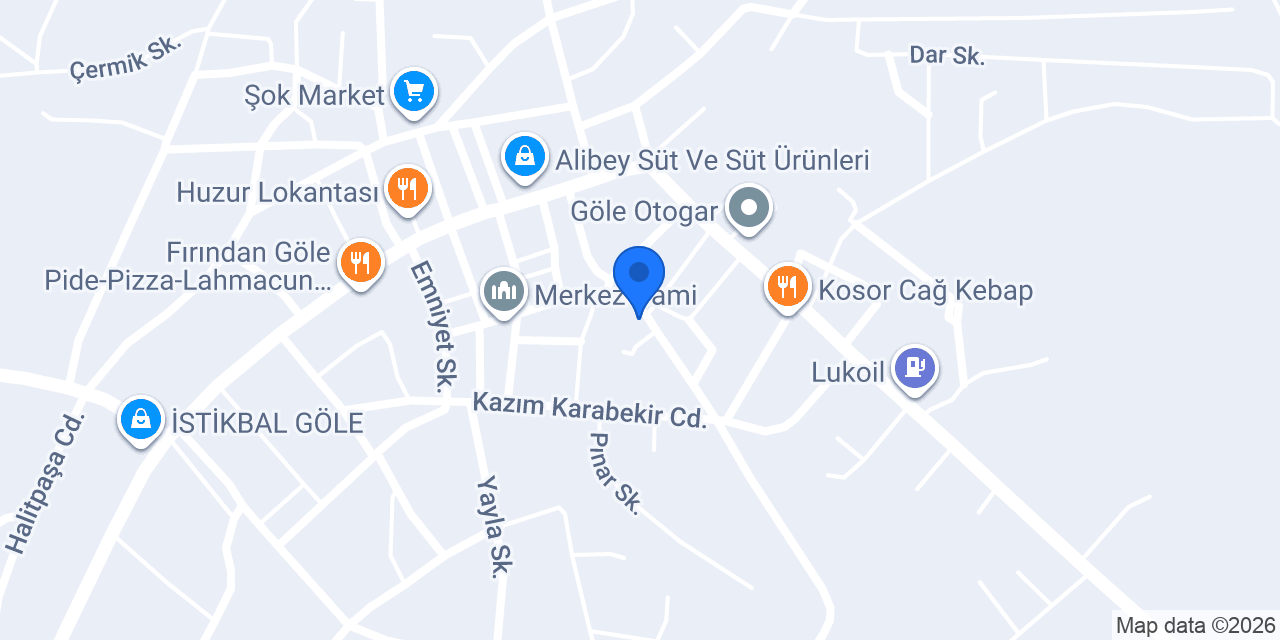 Barış Veteriner Klıniği no 17 konumu