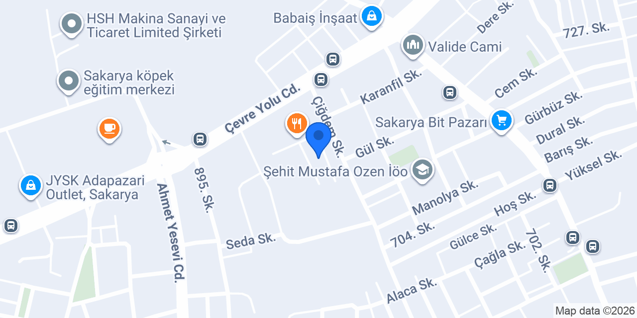 Psikolojik Danışman Elif Ataver konumu