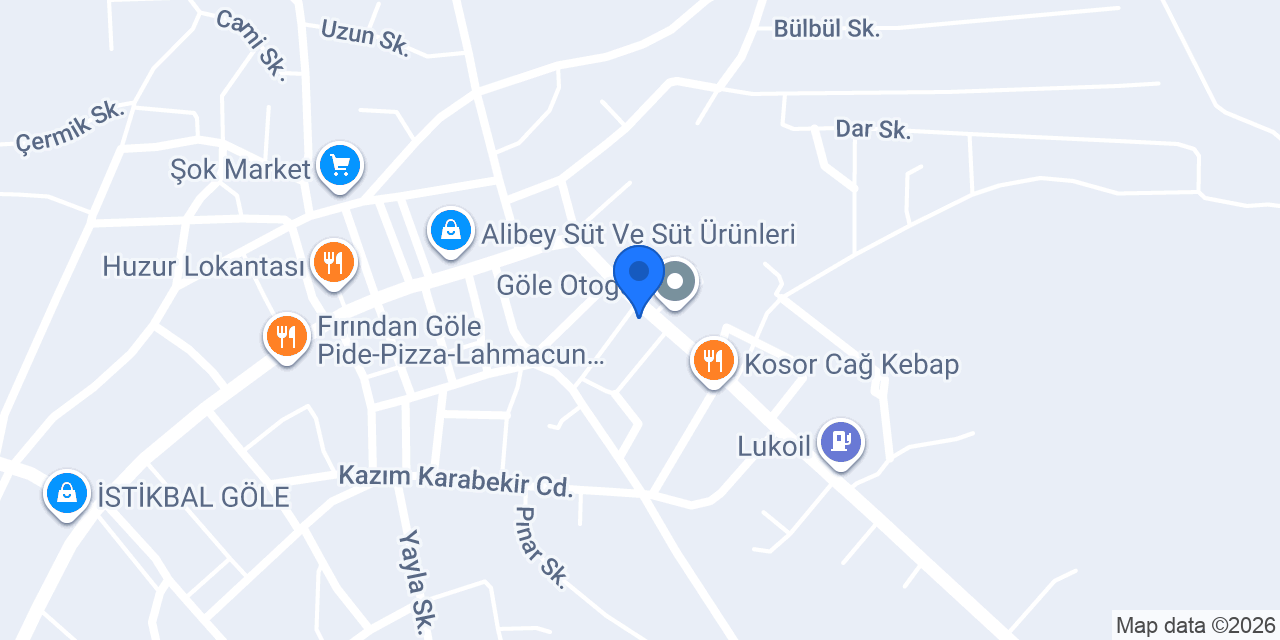 Nesi Meşhur konumu