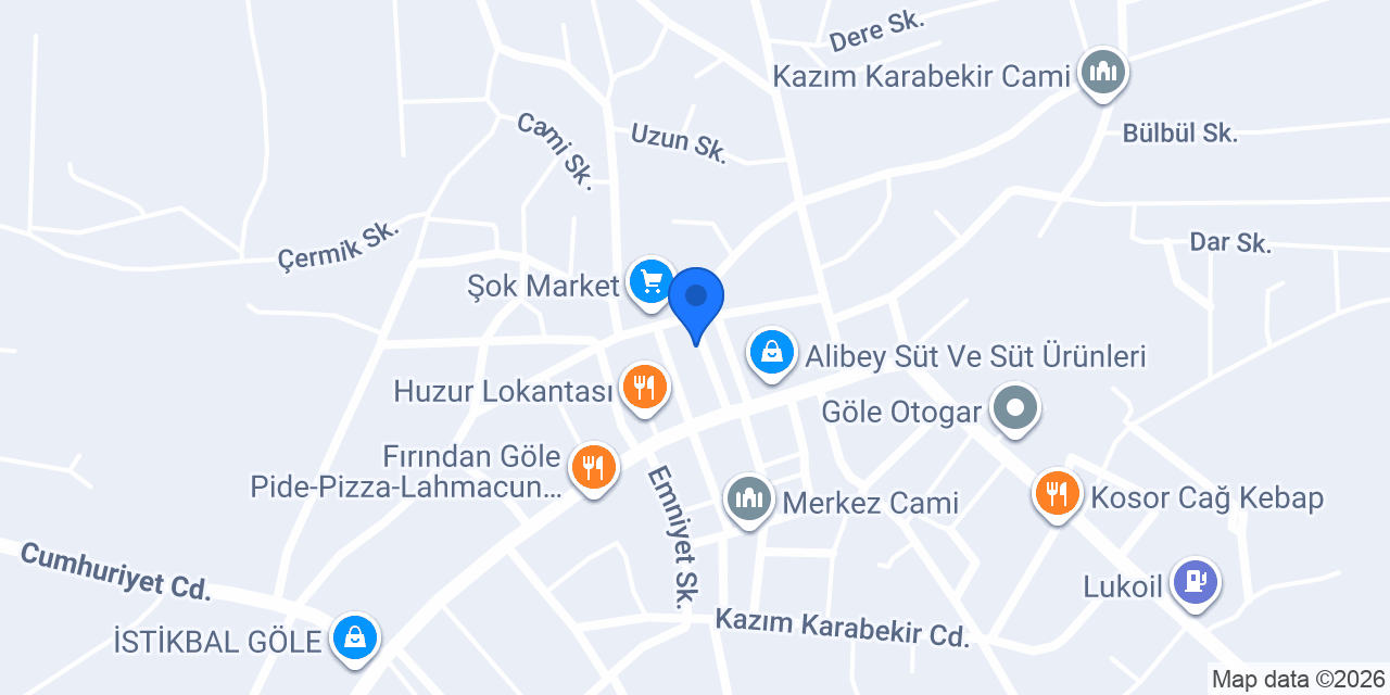 Yeşil göle veteriner kliniği konumu