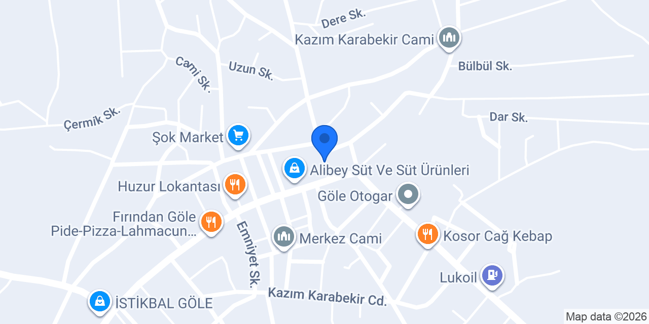 GÜLERYÜZ AUTO GÖLE konumu