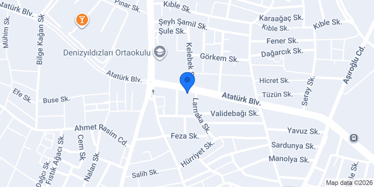 Palmiye Baca - Darıca Şube konumu