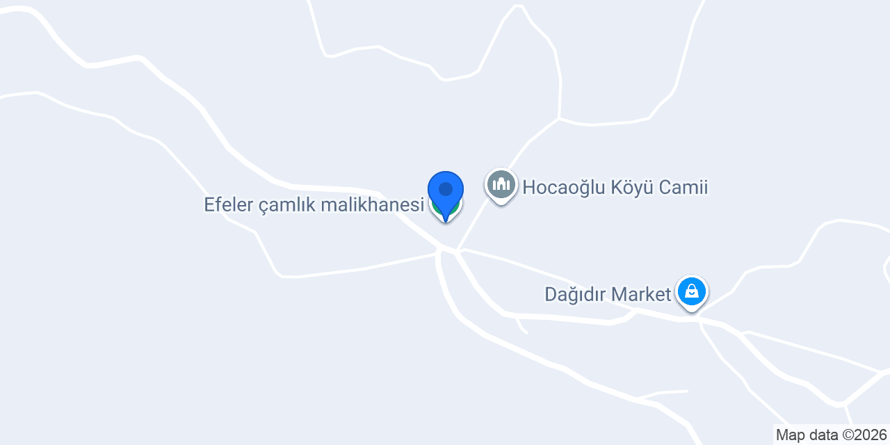 Efeler çamlık malikhanesi konumu