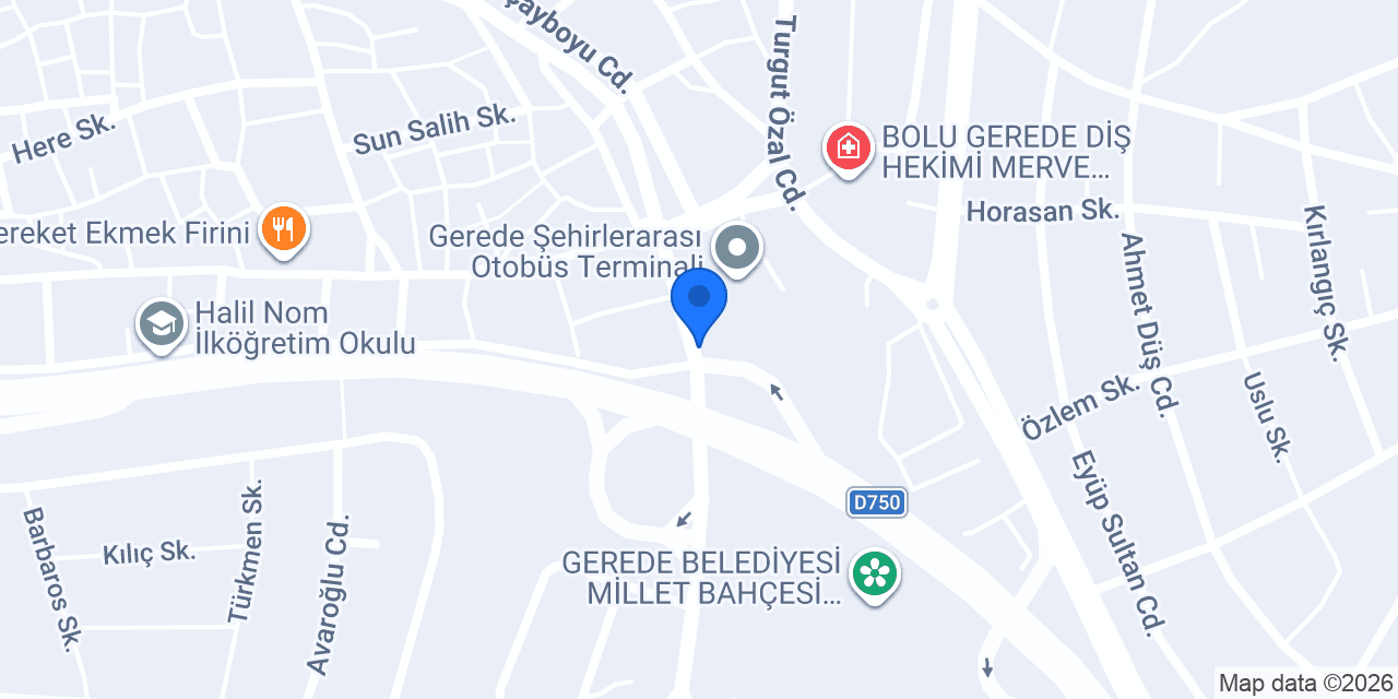 Gerede Efe Tur konumu