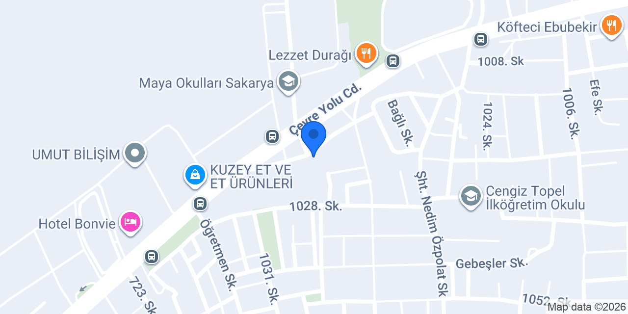 Özel Zemin Koleji İlkokul / Ortaokul konumu