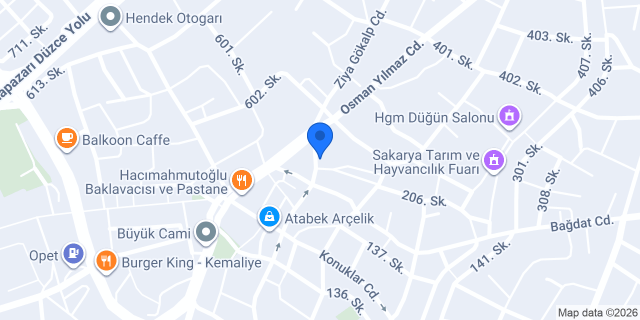 54 Rent A Car konumu