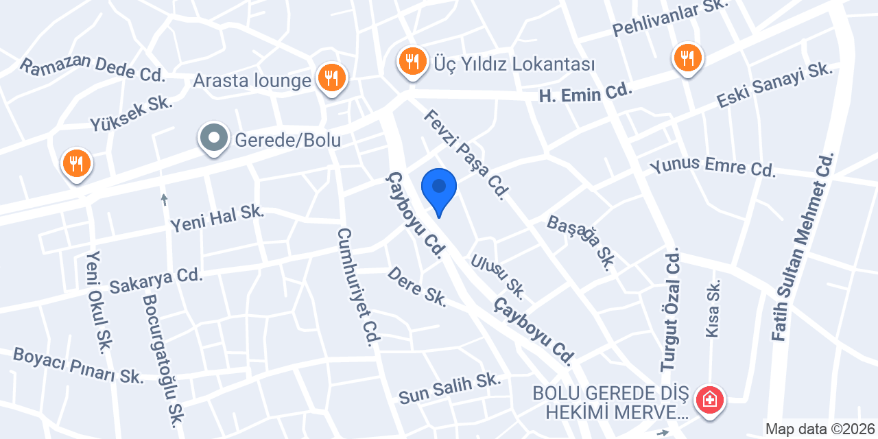 Sistem Elektrik konumu